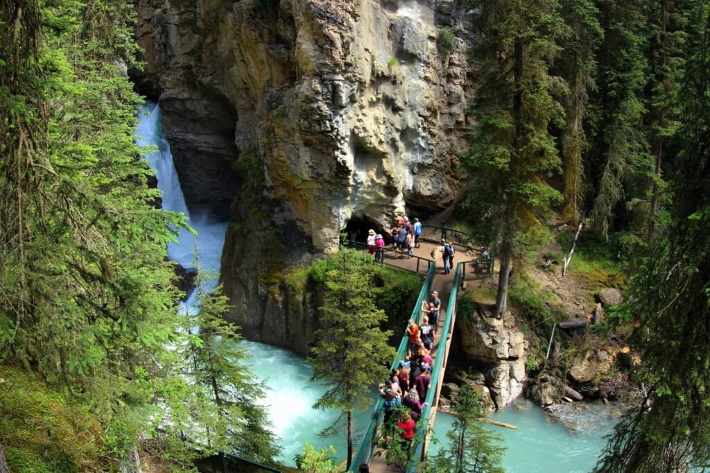 YYC Transportation